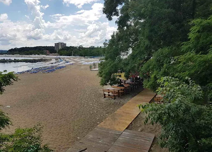 Salena بريمورسكو