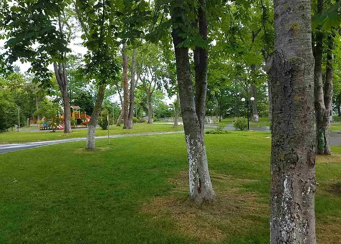 아파트호텔 Salena